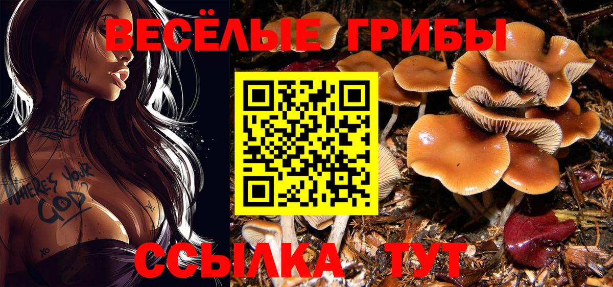 Галлюциногенные грибы ЛСД  Псилоцибиновые грибы прущие грибы  Вход с VPN  Старый Оскол 